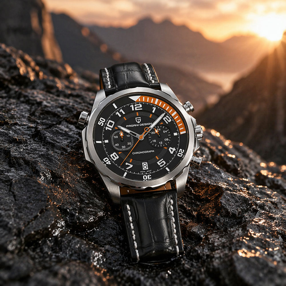 PAGANI DESIGN Classic Leather  - Chronograph Sport Watch recension och pris